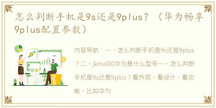 怎么判断手机是9s还是9plus？（华为畅享9plus配置参数）