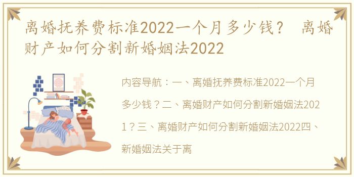 离婚抚养费标准2022一个月多少钱？ 离婚财产如何分割新婚姻法2022