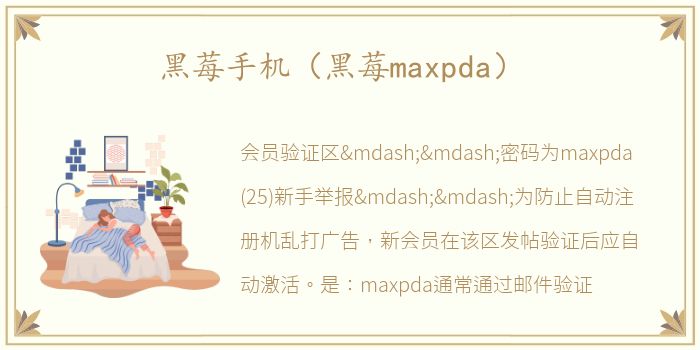 黑莓手机（黑莓maxpda）