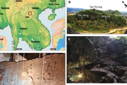 新发掘揭示老挝丛林中早期人类活动