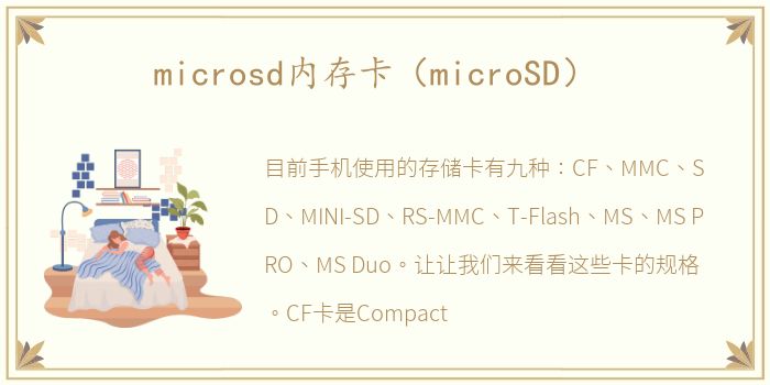 microsd内存卡（microSD）