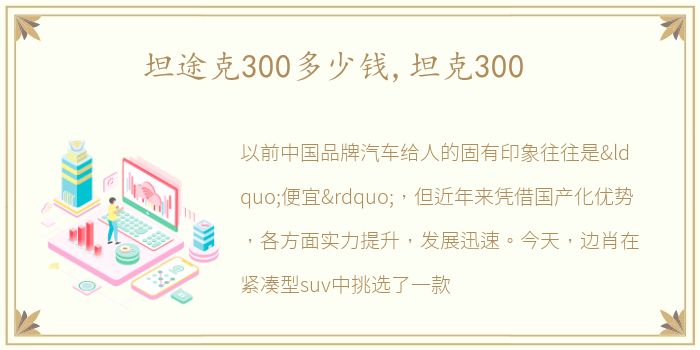 坦途克300多少钱,坦克300