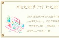 坦途克300多少钱,坦克300