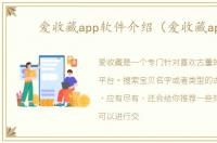 爱收藏app软件介绍（爱收藏app）